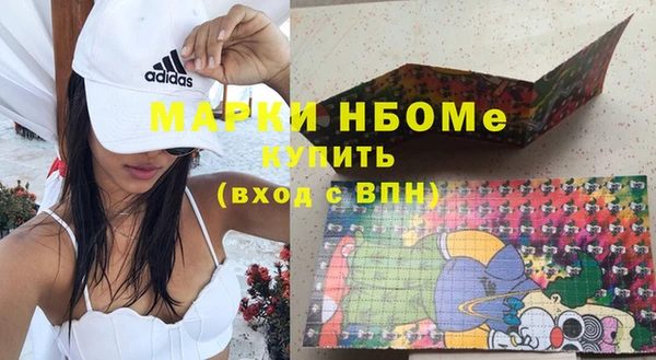 индика Алзамай