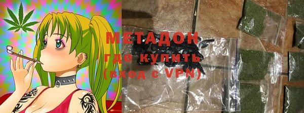 индика Алзамай