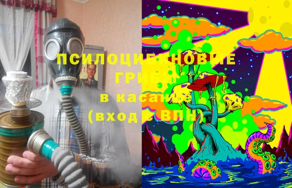 индика Алзамай